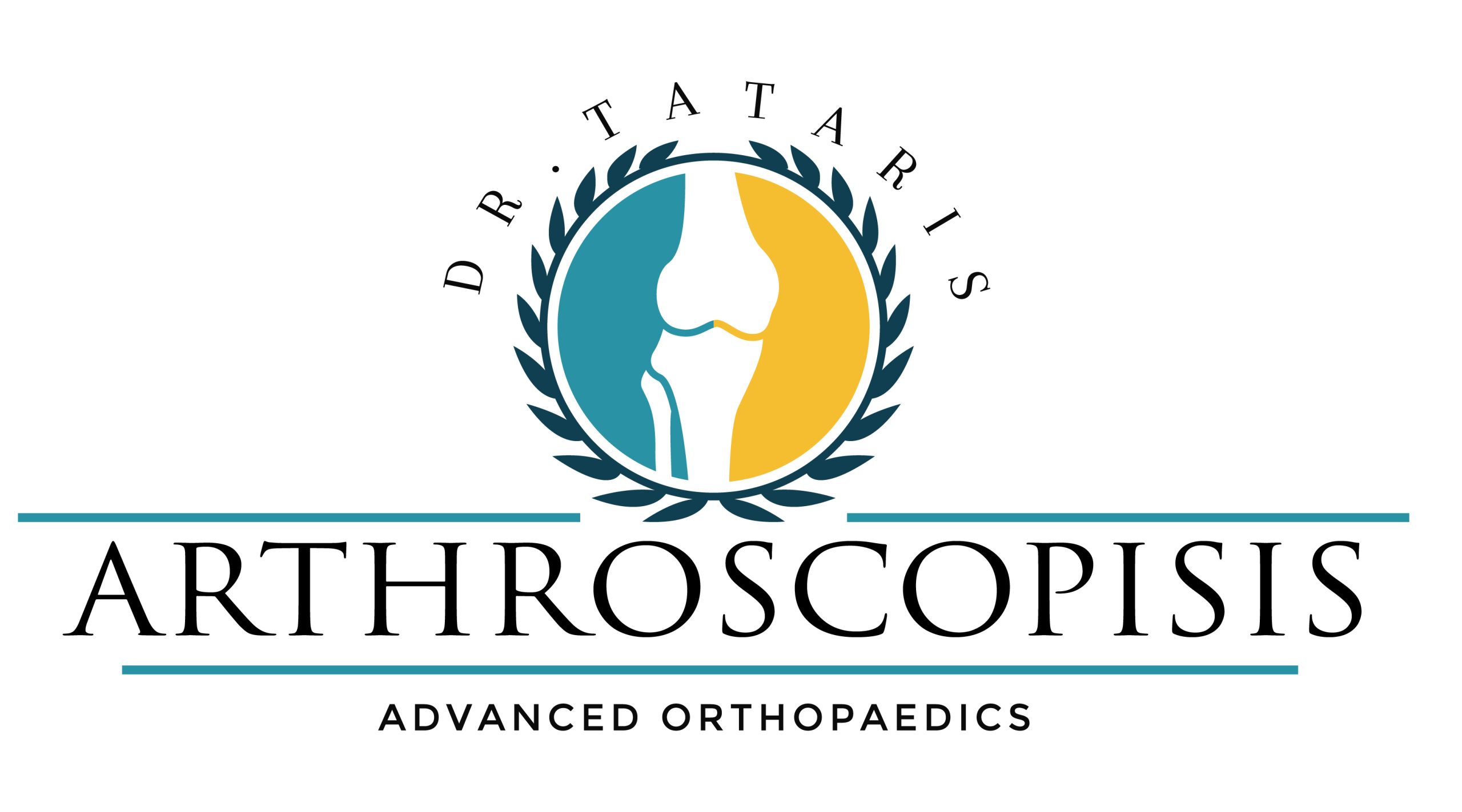 Nicholas logo-01 - Αντιγραφή